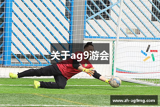 关于ag9游会